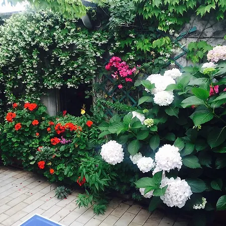 Апартаменты Gheller Верона